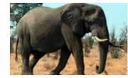 Britz Campervan Rentals SA Adventurer 4WD motorhome rental south africa