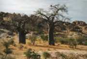 Britz Campervan Rentals SA Bushcamper motorhome rental south africa