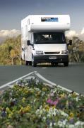 Cheapa Campa AU Cheapa 6 Berth Motorhome motorhome rental sydney