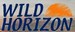 Wild Horizon Motorhome Hire London